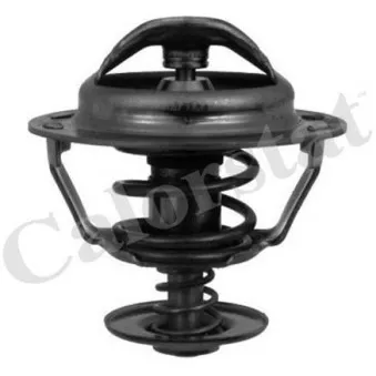 Thermostat d'eau CALORSTAT BY VERNET TH5353.83J