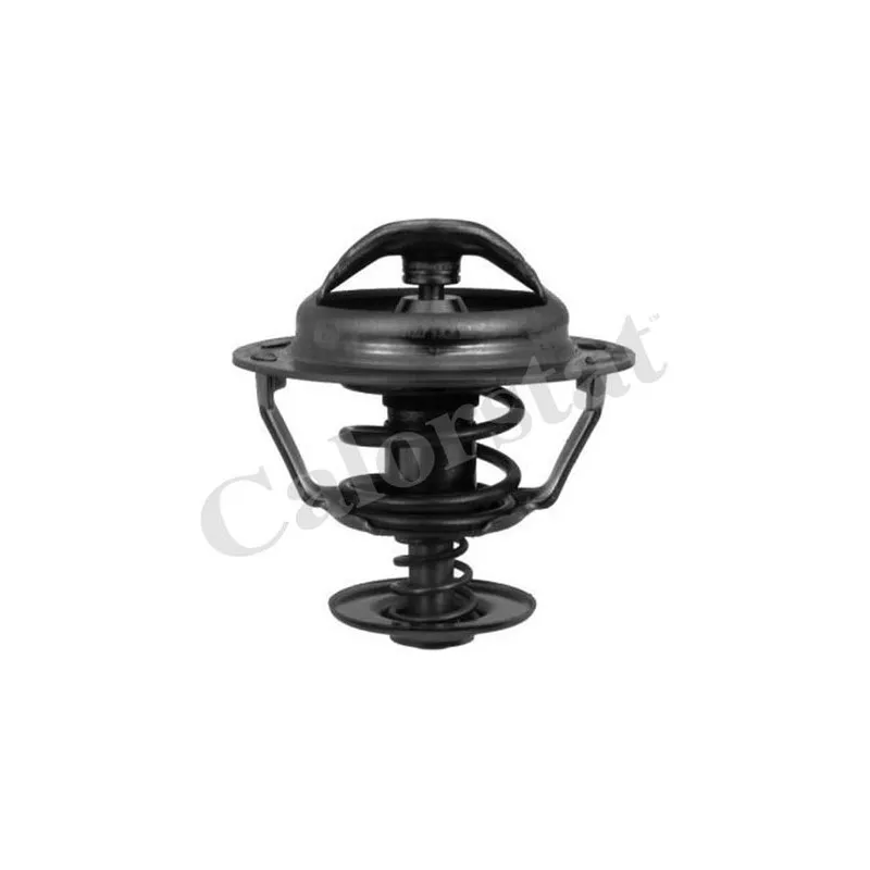 Thermostat d'eau CALORSTAT BY VERNET TH5353.83J