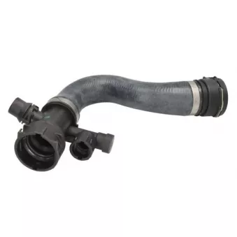 Durite de radiateur THERMOTEC DWB197TT