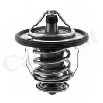 Thermostat d'eau CALORSTAT BY VERNET TH5434.76J