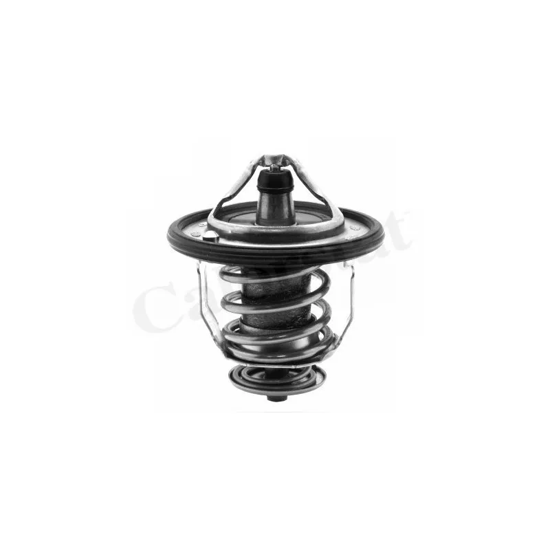 Thermostat d'eau CALORSTAT BY VERNET TH5434.76J