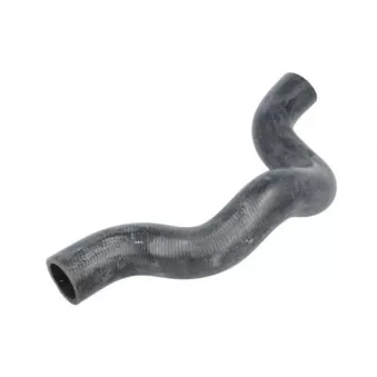 Durite de radiateur THERMOTEC DWX287TT