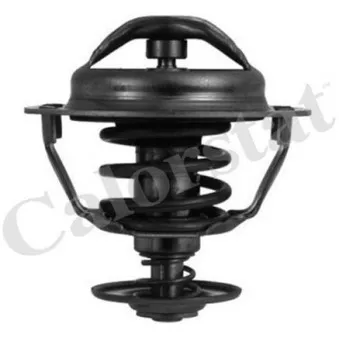 Thermostat d'eau CALORSTAT BY VERNET TH5446.83J