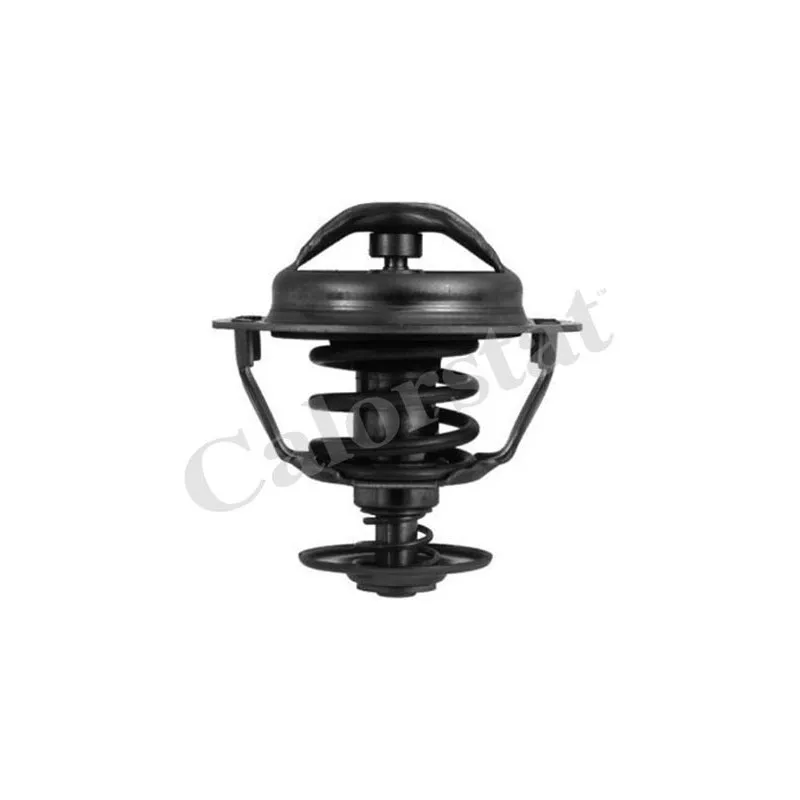 Thermostat d'eau CALORSTAT BY VERNET TH5446.83J