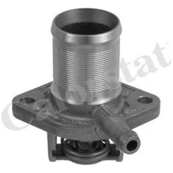 Thermostat d'eau CALORSTAT BY VERNET TH5493.89J