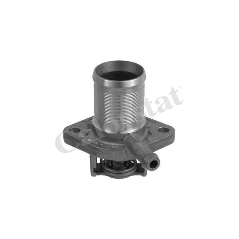 Thermostat d'eau CALORSTAT BY VERNET TH5493.89J