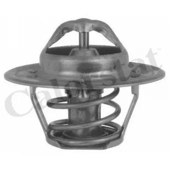 Thermostat d'eau CALORSTAT BY VERNET TH5504.85J