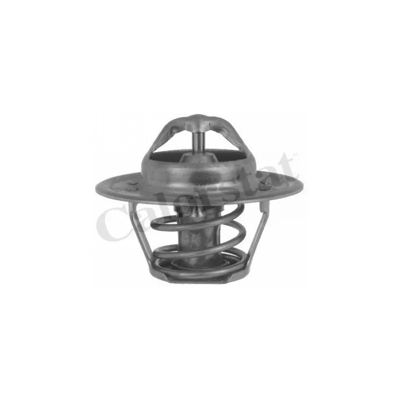 Thermostat d'eau CALORSTAT BY VERNET TH5504.85J