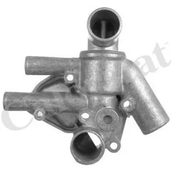 Thermostat d'eau CALORSTAT BY VERNET TH5686.80J