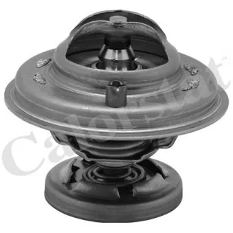 Thermostat d'eau CALORSTAT BY VERNET TH5699.80J