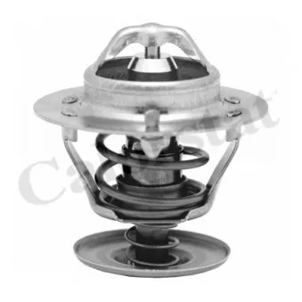 Thermostat d'eau CALORSTAT BY VERNET TH5750.88J