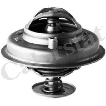 Thermostat d'eau CALORSTAT BY VERNET TH5753.84J