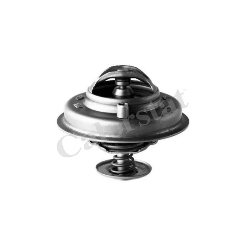 Thermostat d'eau CALORSTAT BY VERNET TH5753.84J