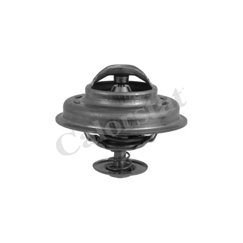Thermostat d'eau CALORSTAT BY VERNET TH5757.89J