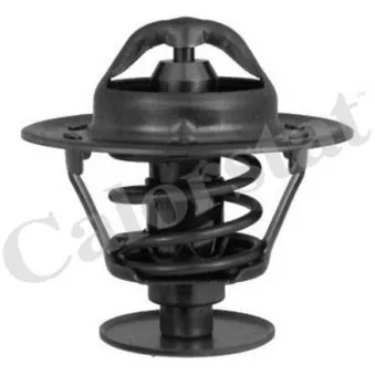Thermostat d'eau CALORSTAT BY VERNET TH5792.76J