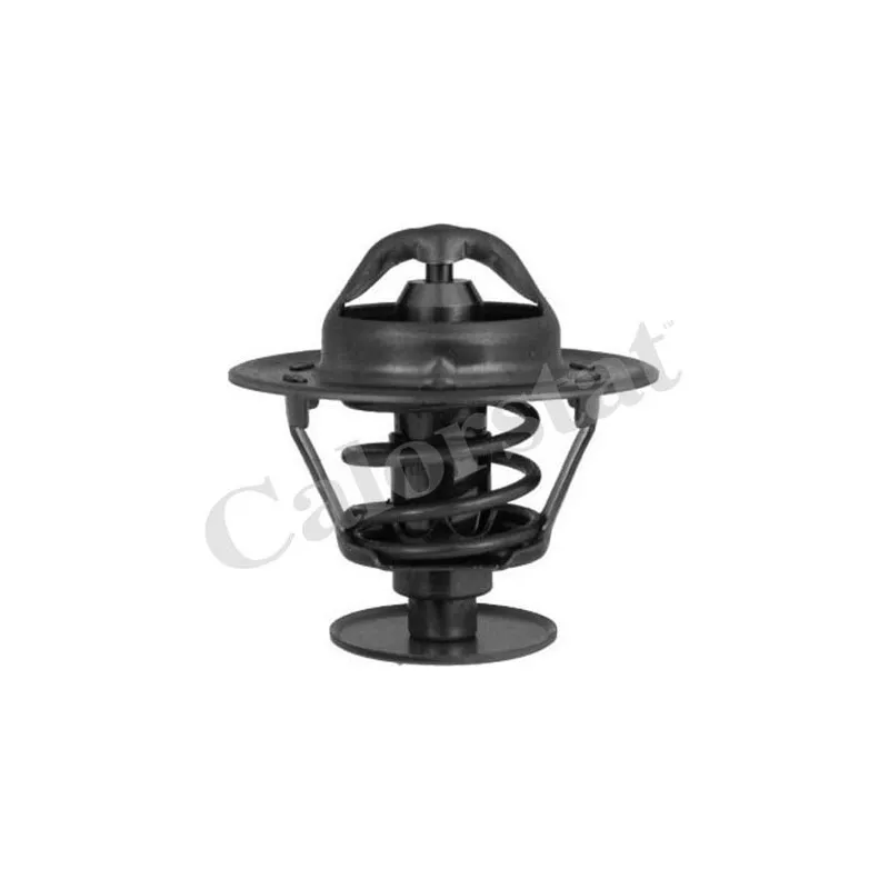 Thermostat d'eau CALORSTAT BY VERNET TH5792.76J