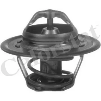 Thermostat d'eau CALORSTAT BY VERNET TH5812.92J