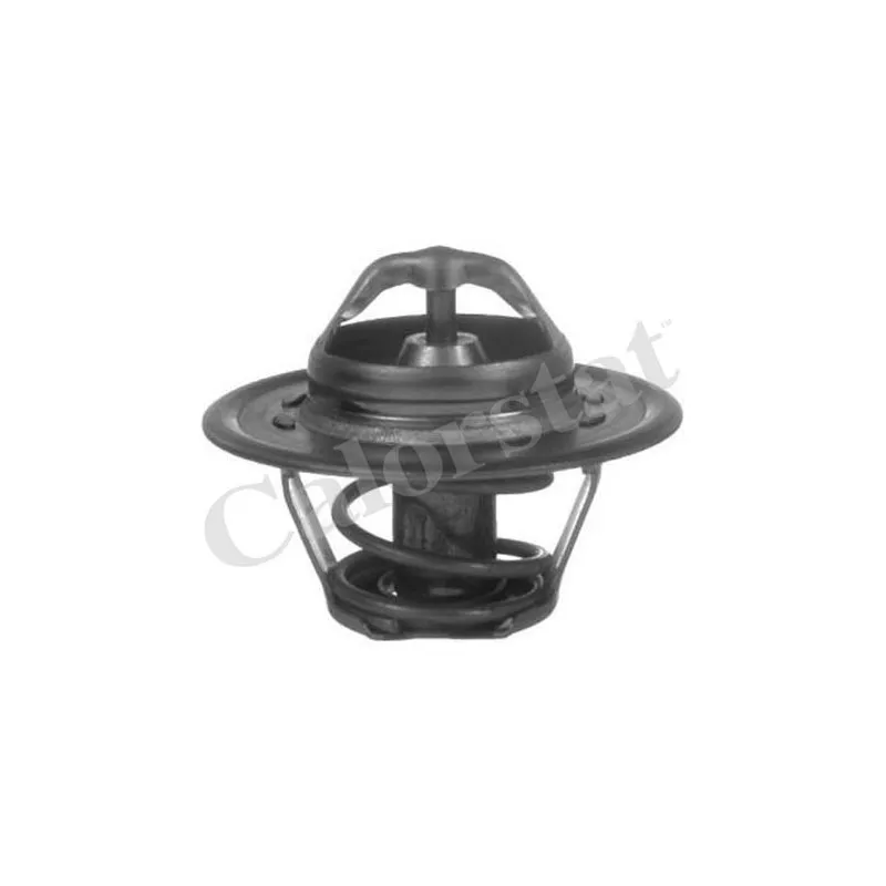 Thermostat d'eau CALORSTAT BY VERNET TH5812.92J
