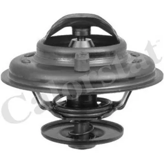 Thermostat d'eau CALORSTAT BY VERNET TH5902.87J