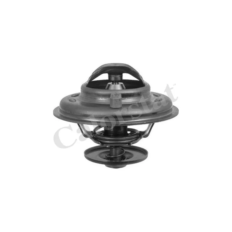 Thermostat d'eau CALORSTAT BY VERNET TH5902.87J