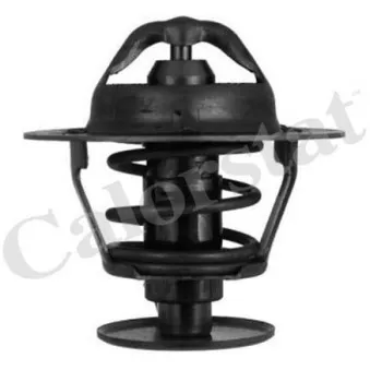 Thermostat d'eau CALORSTAT BY VERNET TH5952.78J