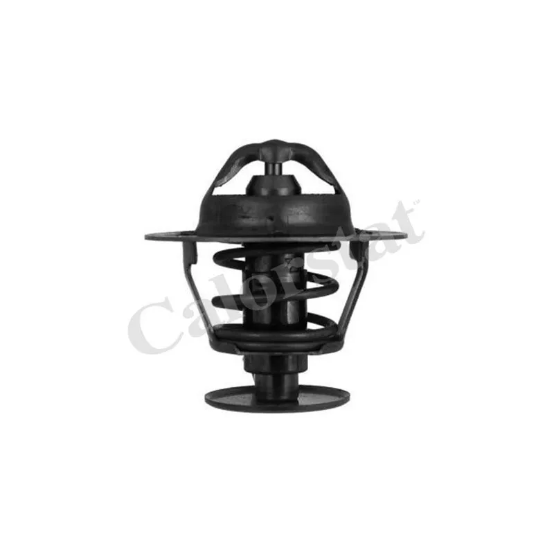 Thermostat d'eau CALORSTAT BY VERNET TH5952.78J