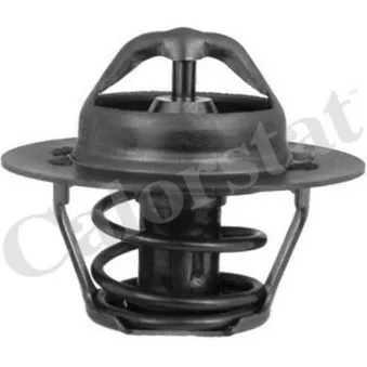 Thermostat d'eau CALORSTAT BY VERNET TH5955.88J