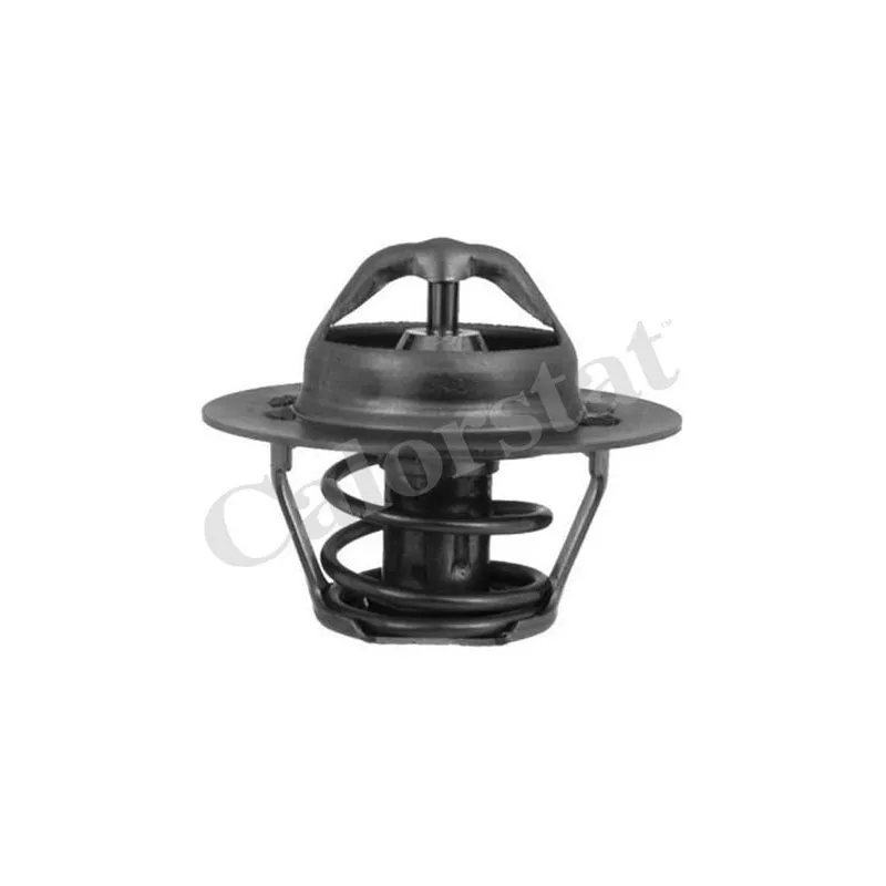 Thermostat d'eau CALORSTAT BY VERNET TH5955.88J