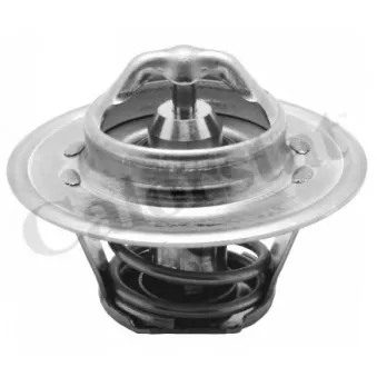 Thermostat d'eau CALORSTAT BY VERNET TH5962.92J