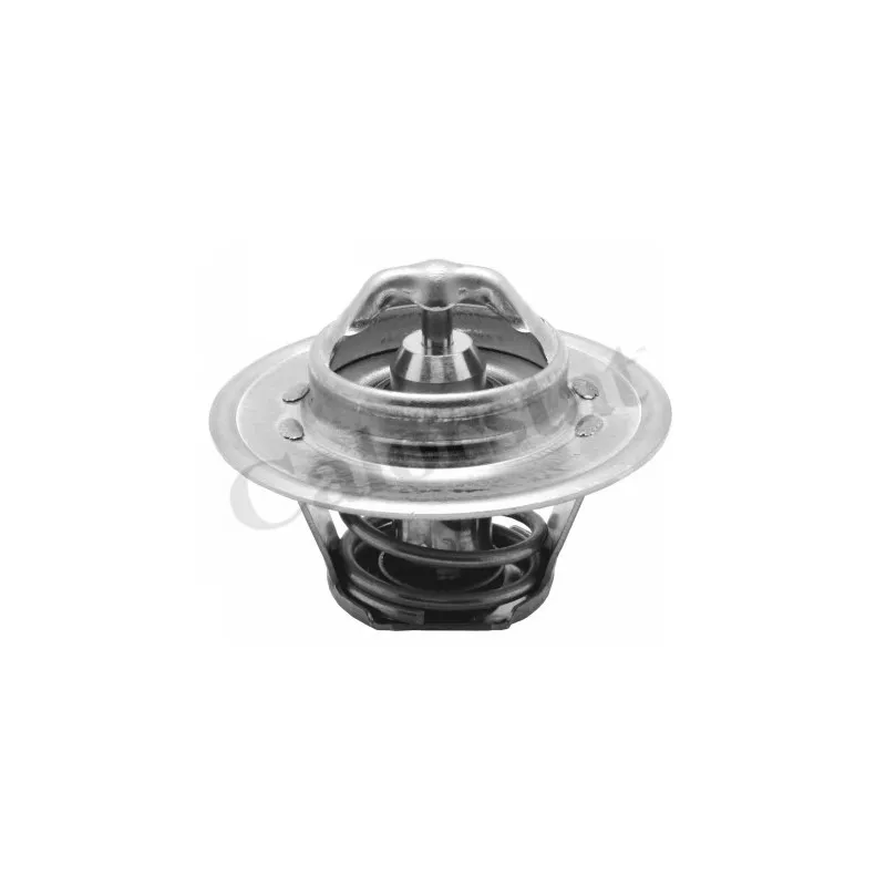Thermostat d'eau CALORSTAT BY VERNET TH5962.92J