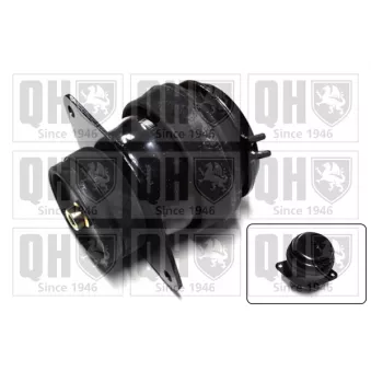Support moteur QUINTON HAZELL EM1890