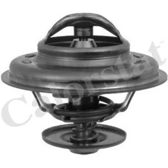 Thermostat d'eau CALORSTAT BY VERNET TH5963.80J