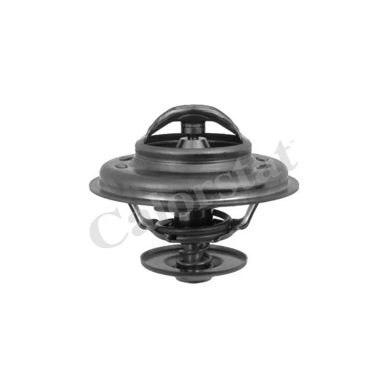 Thermostat d'eau CALORSTAT BY VERNET TH5963.80J