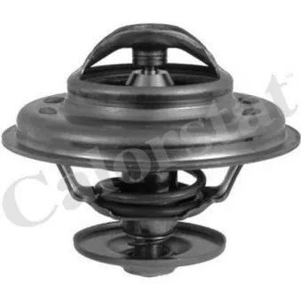 Thermostat d'eau CALORSTAT BY VERNET TH5968.87J