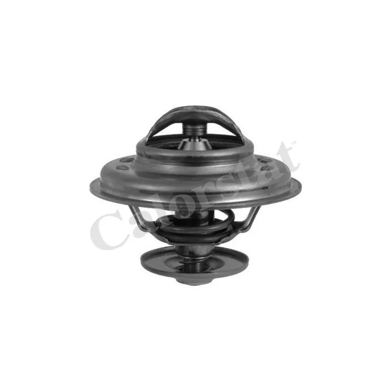 Thermostat d'eau CALORSTAT BY VERNET TH5968.87J