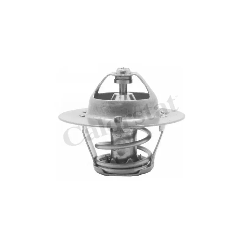 Thermostat d'eau CALORSTAT BY VERNET TH5971.88J