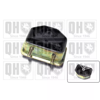 Support moteur QUINTON HAZELL EM2460