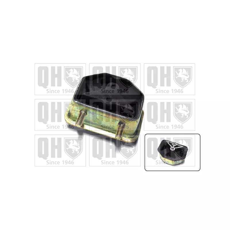 Support moteur QUINTON HAZELL EM2460