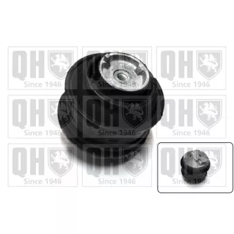 Support moteur QUINTON HAZELL EM2477