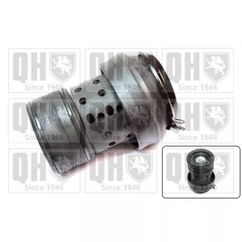 Support moteur QUINTON HAZELL EM2512