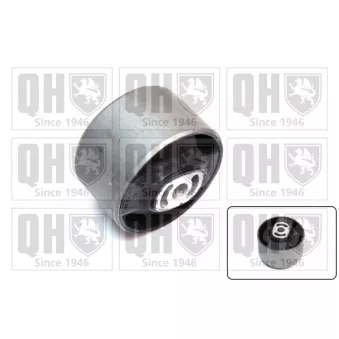 Support moteur QUINTON HAZELL EM2587