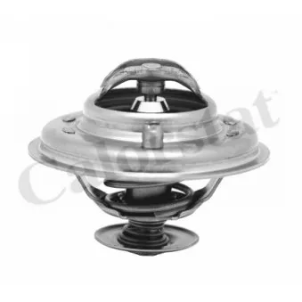 Thermostat d'eau CALORSTAT BY VERNET TH5973.87J