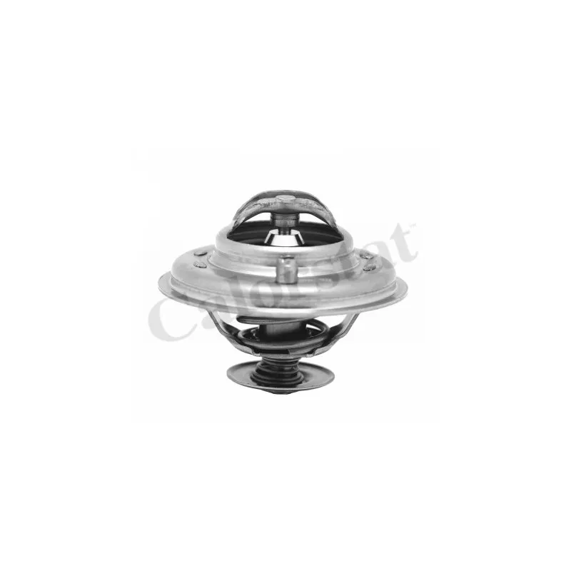 Thermostat d'eau CALORSTAT BY VERNET TH5973.87J