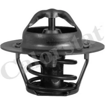 Thermostat d'eau CALORSTAT BY VERNET TH5977.88J