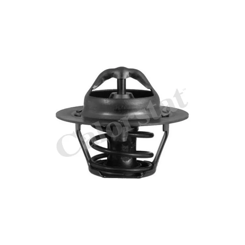 Thermostat d'eau CALORSTAT BY VERNET TH5977.92J