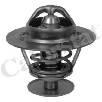 Thermostat d'eau CALORSTAT BY VERNET TH5978.82J