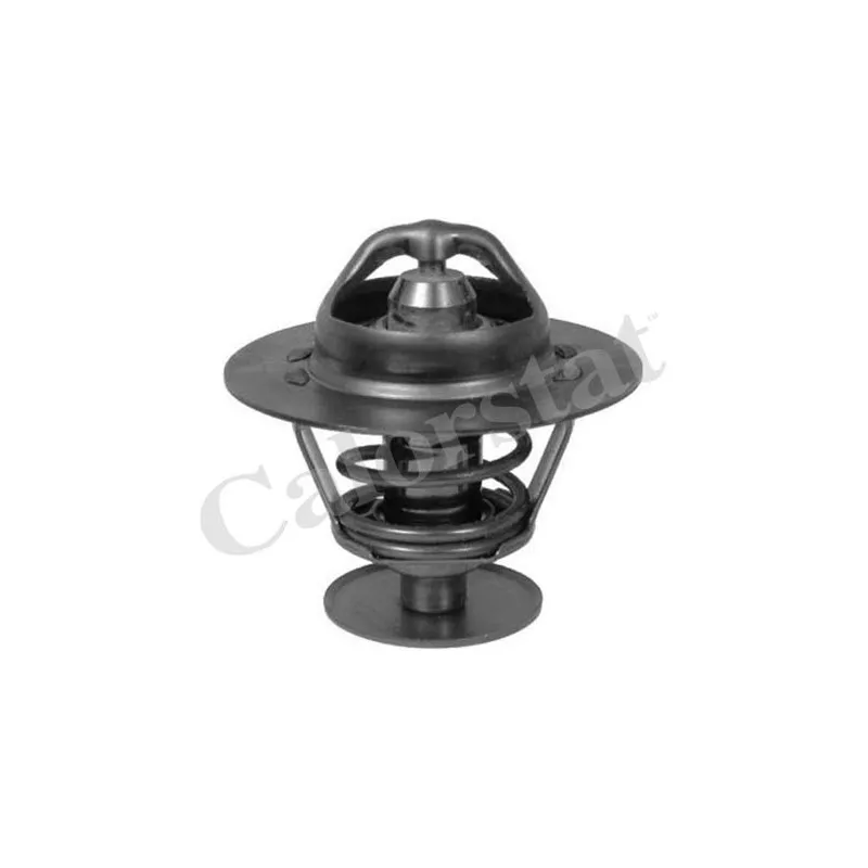Thermostat d'eau CALORSTAT BY VERNET TH5978.82J
