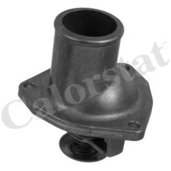 Thermostat d'eau CALORSTAT BY VERNET TH5979.92J