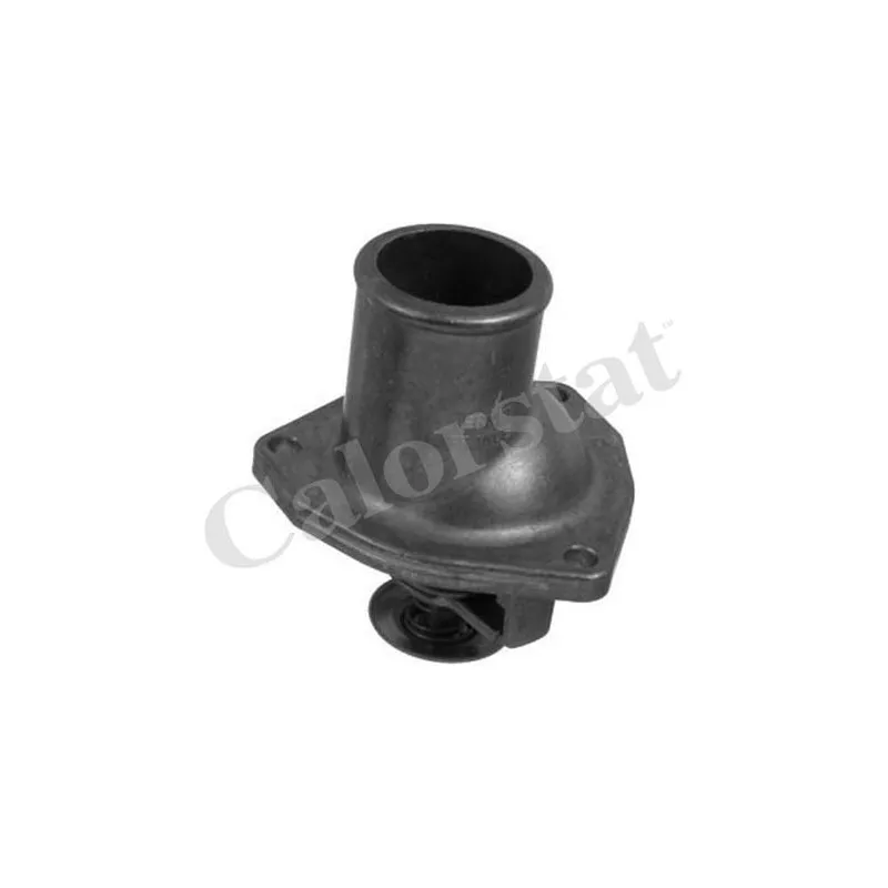 Thermostat d'eau CALORSTAT BY VERNET TH5979.92J