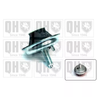 Support moteur QUINTON HAZELL EM4144